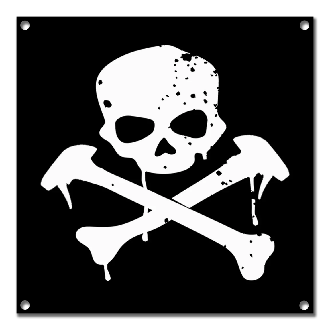 Skully Banner
